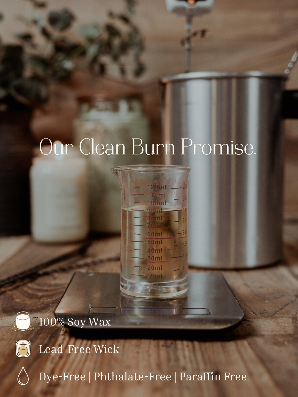 Sugarpine | 16oz Mason Jar Soy Wax Candle | Clean Burning